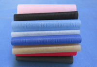 波密涤纶（PET）无纺布是什么